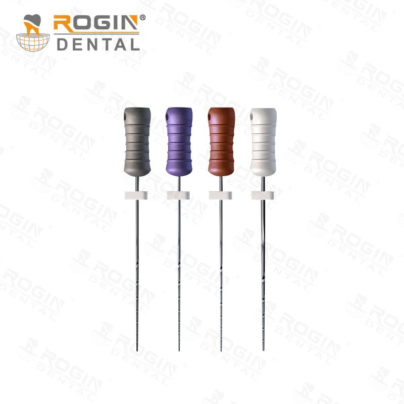 Rogin PF Files 25mm Asorti