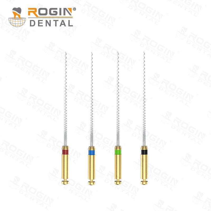 Rogin Paste Carriers Asorti