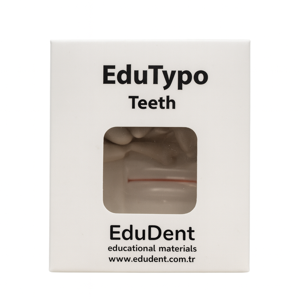 EDUDENT Etli Çene Uyumlu Yedek Diş 32'li