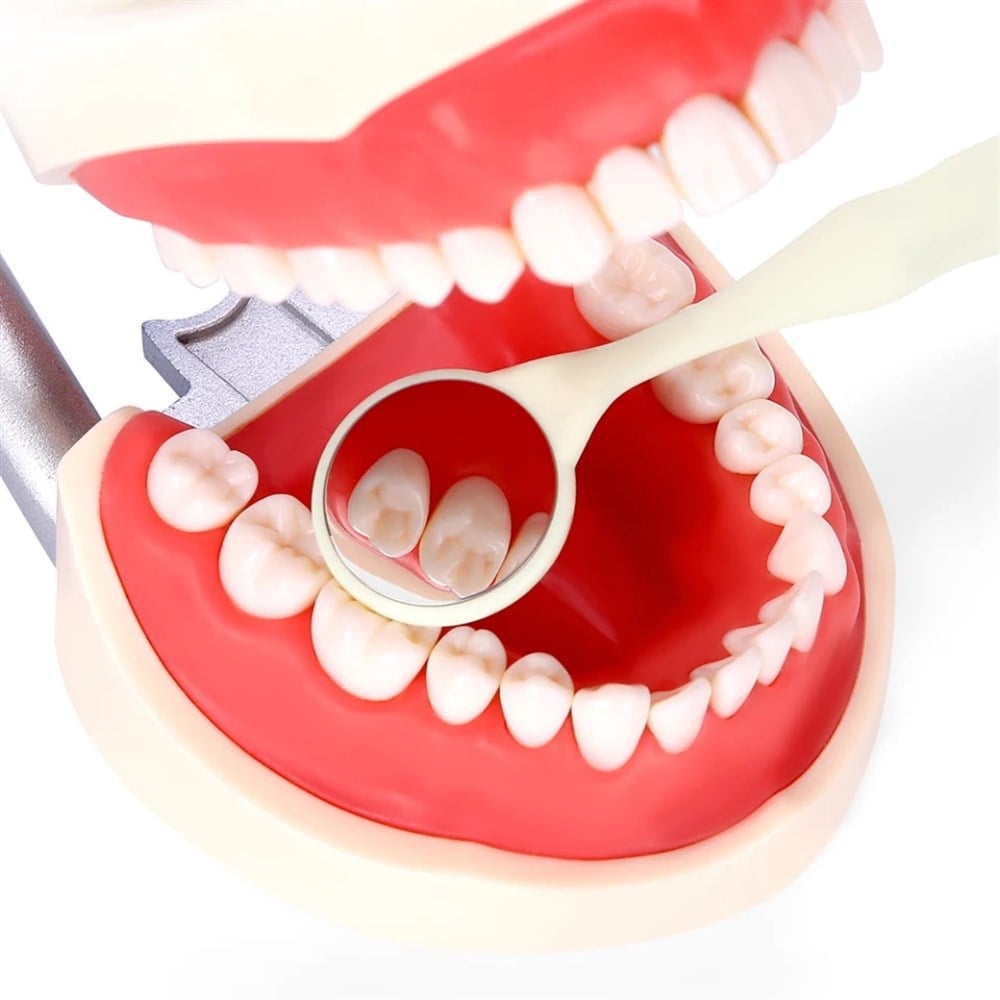 Omega Rodyum Ayna Renkli - Dental Muayene Aynası