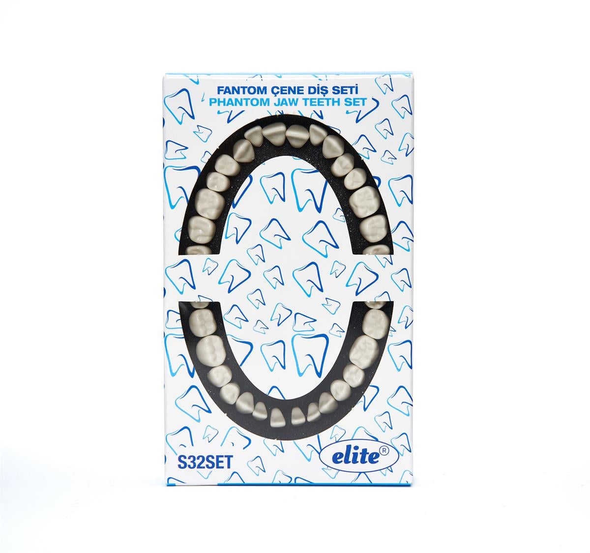 Elite Yedek Diş Seti 32'li - Fantom Çene Eğitim Modeli Uyumlu