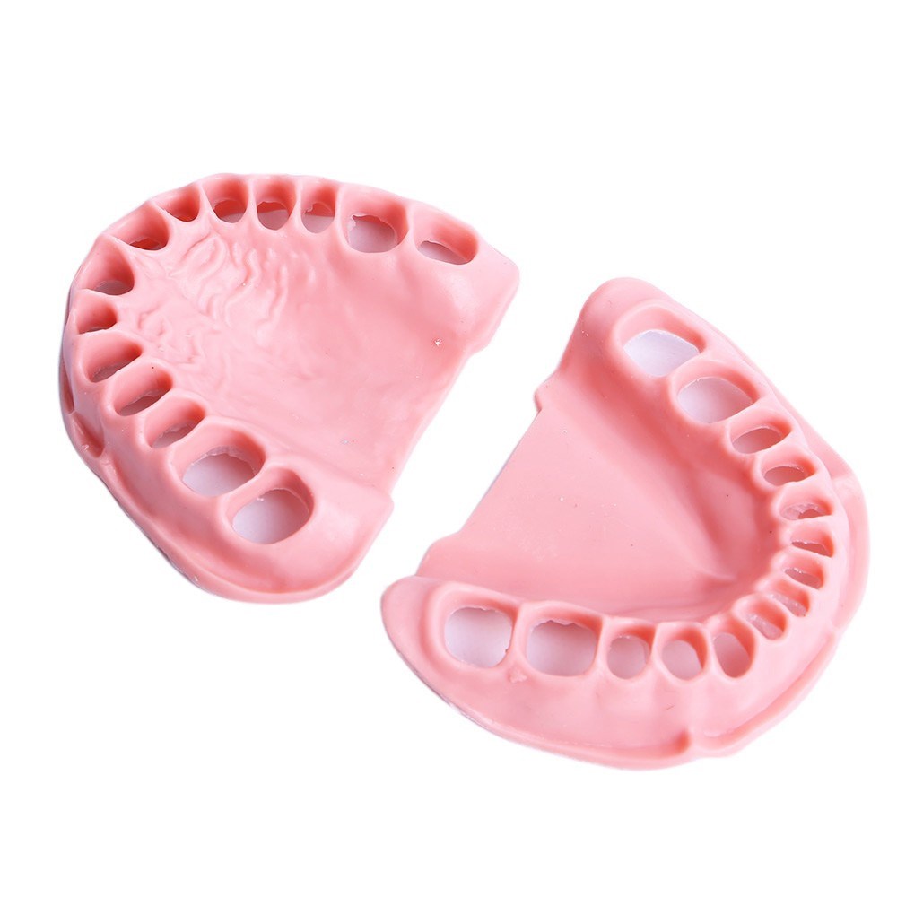 Omega 28'li Diş Eti Takımı - Fantom Çene Eğitim Modeli