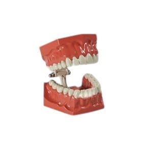 İntegra Fantom Çene Sert Dişli