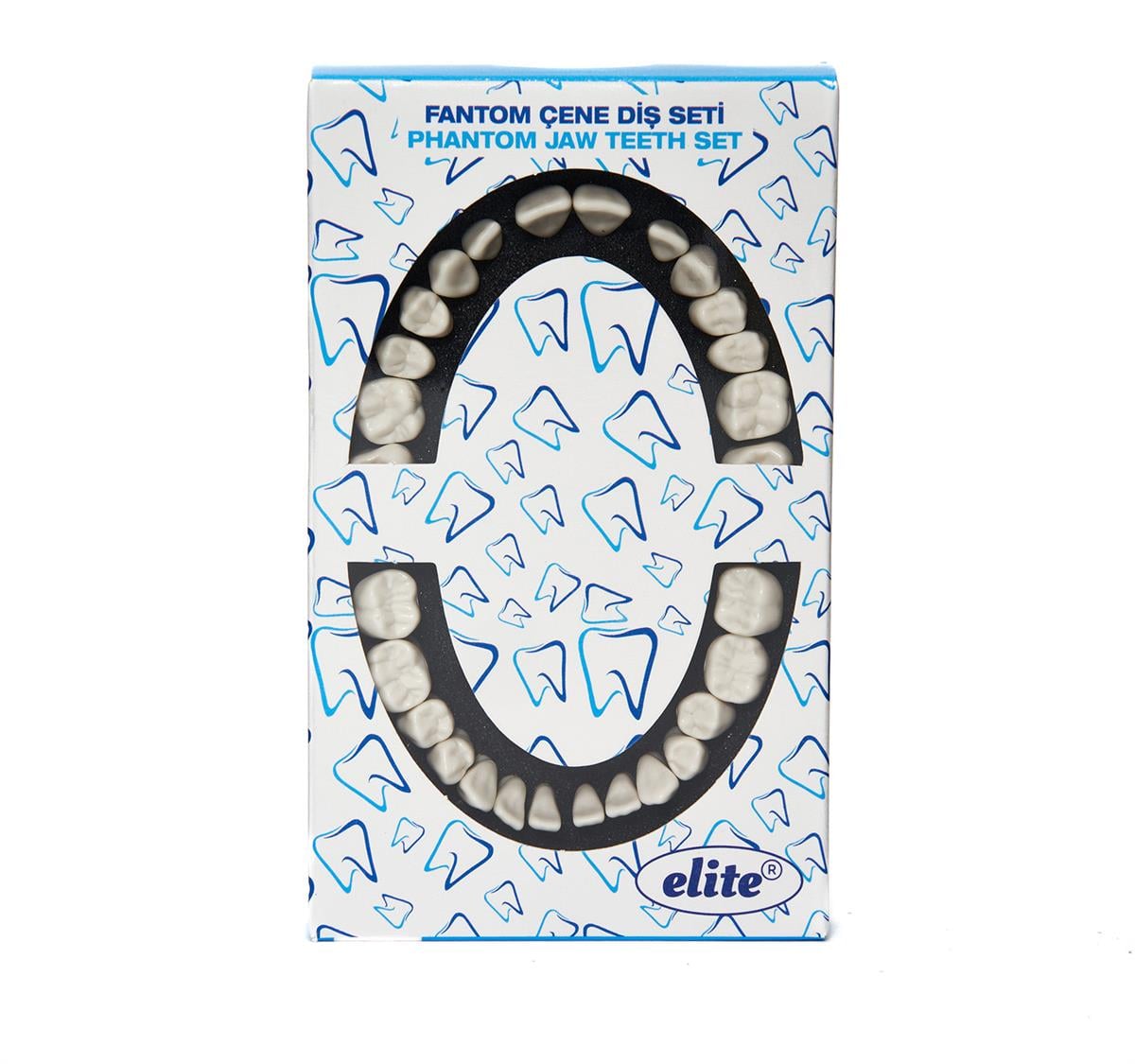 Elite Yedek Diş Seti 28'li – Fantom Çene Eğitim Modelleri İçin Uyumlu