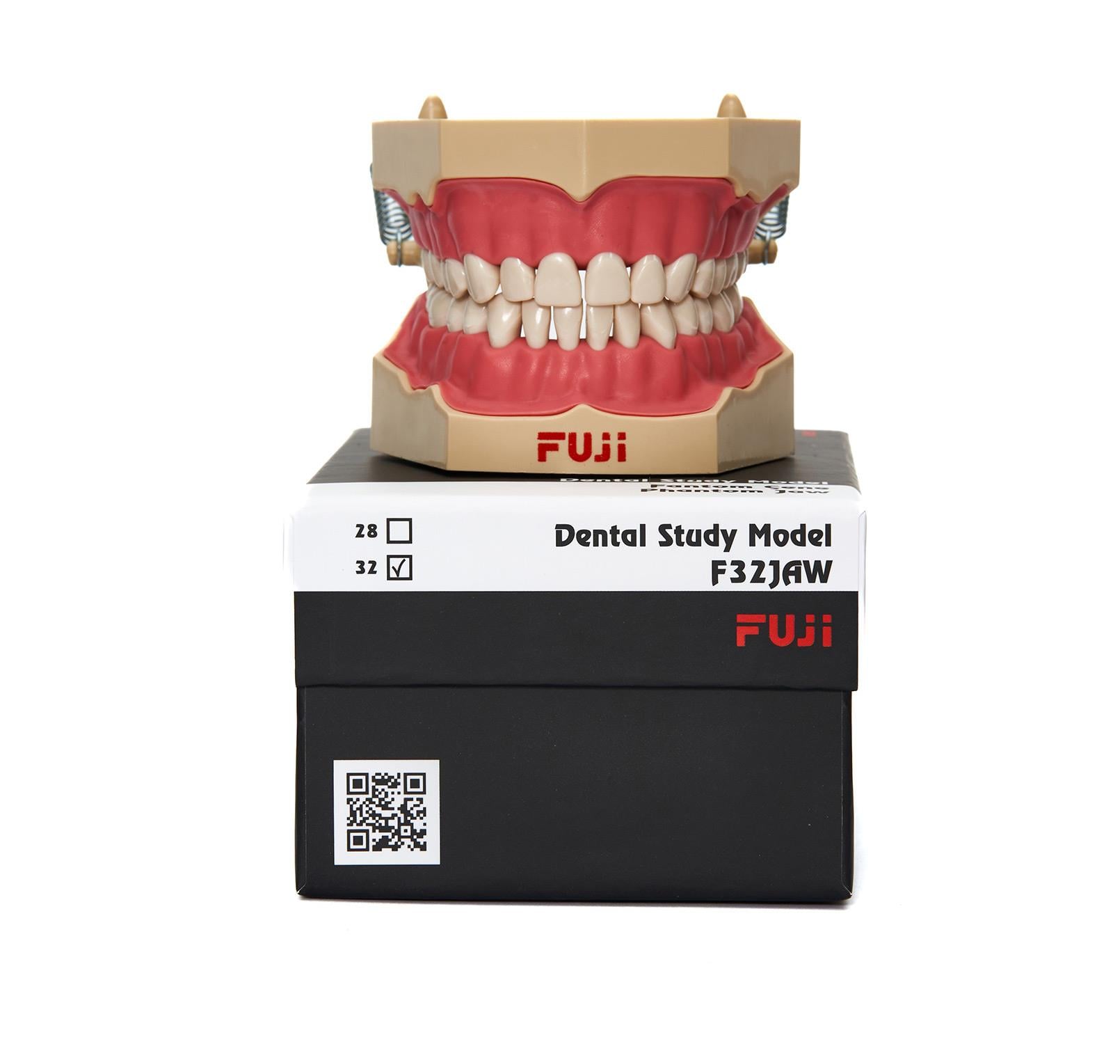Fuji Fantom Çene Etli 32'li Diş Hekimliği Eğitim Modeli