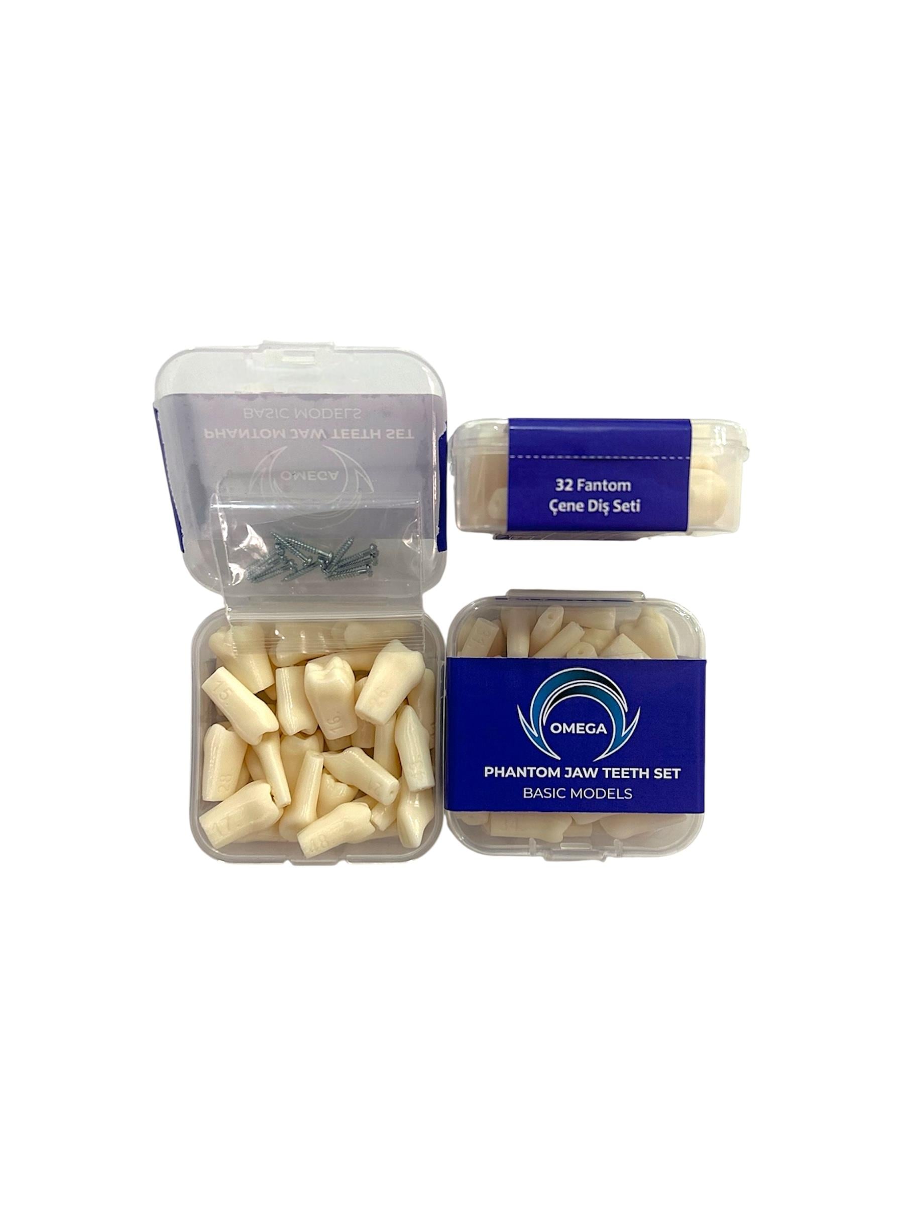 Omega Etli Çene Yedek Diş Seti 32'li Fantom Diş ve Vida Seti