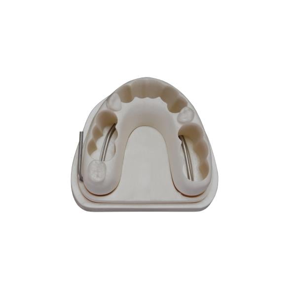 Edudent Real Endo Tek Çene Endodontik Eğitim Modeli