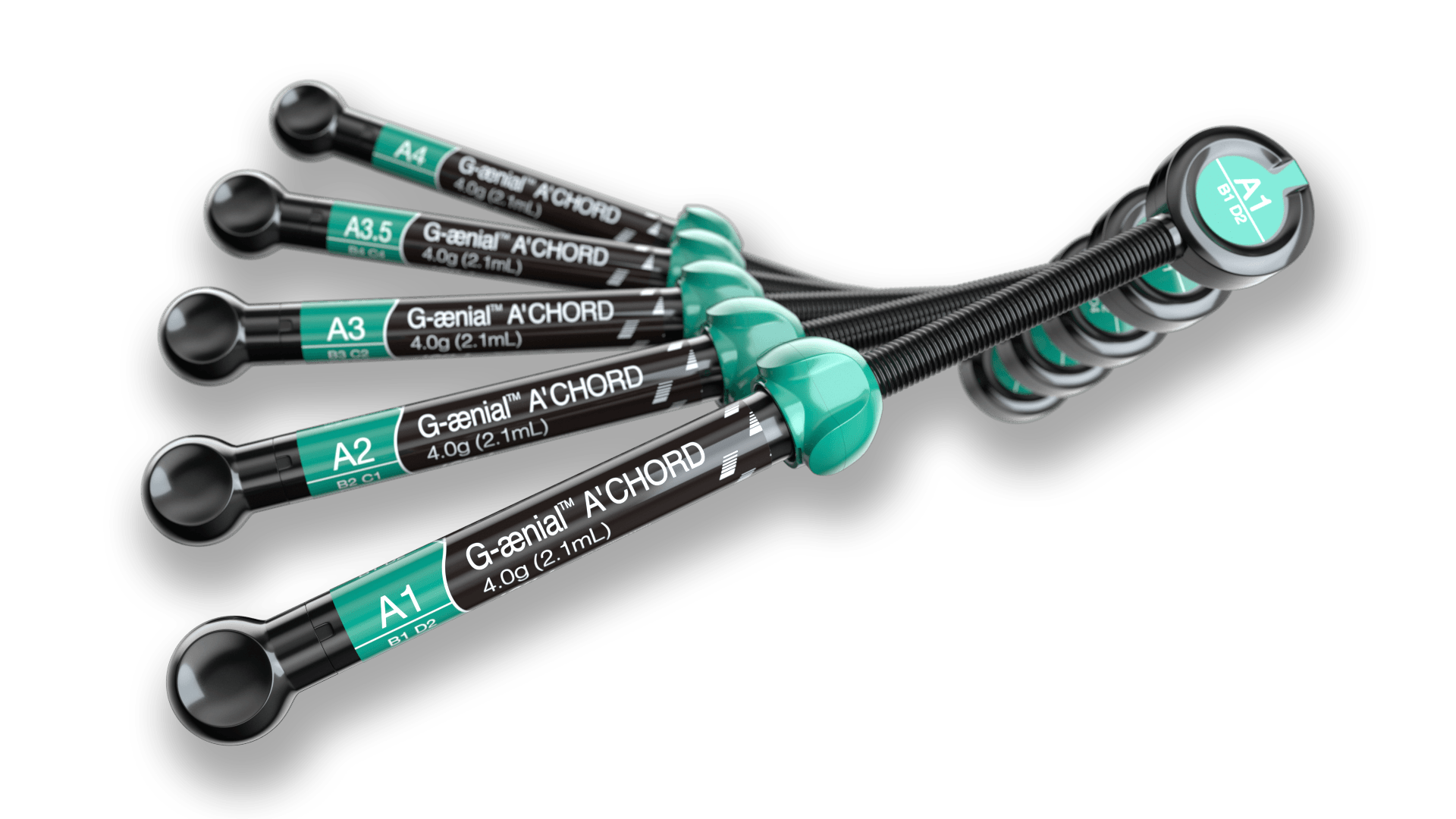 GC Dental G-Aenial ACHORD Kompozit Şırınga Refil 4g